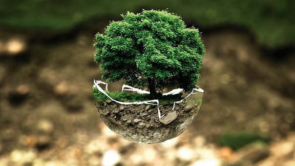 Protection Environnementale