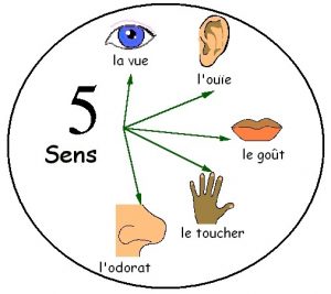 cinq sens
