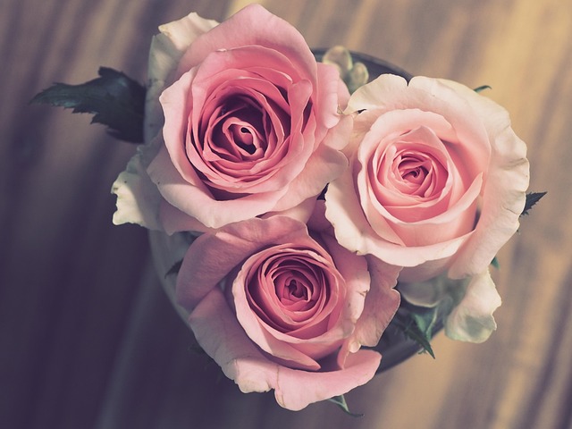 Beautiful Flowers, Belles Fleurs